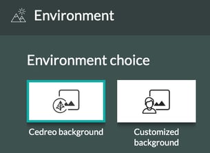 8-04 background options