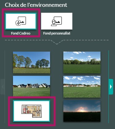 08-06 Environnment_Cedre_Fond_blanc