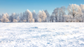 RM_SNOW_VIGNETTE_rectangle_01