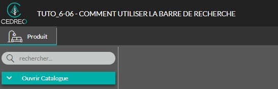 06-06 - Barre_de_recherche